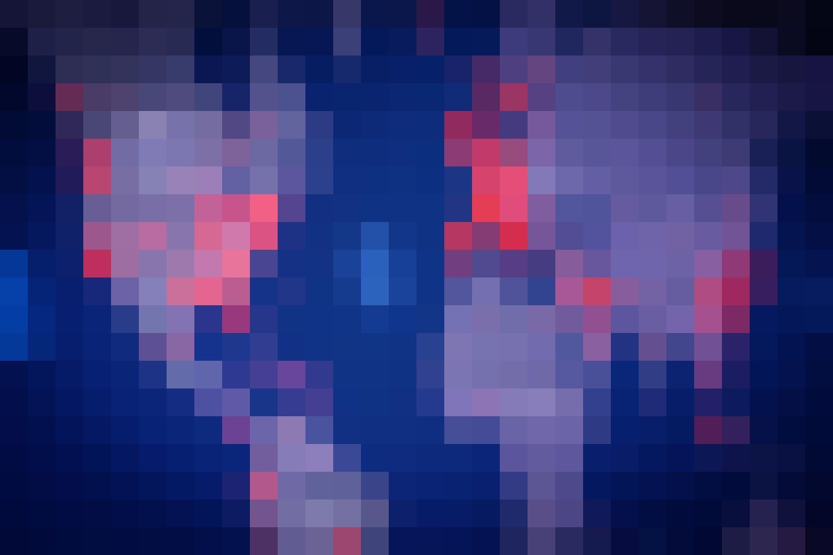 n8